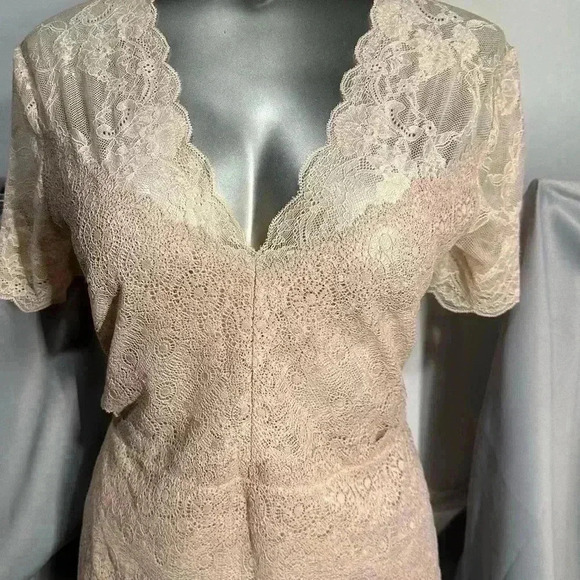 🆕 BCBGMAXAZRIA soft stretch lace sheer top - Picture 5 of 15